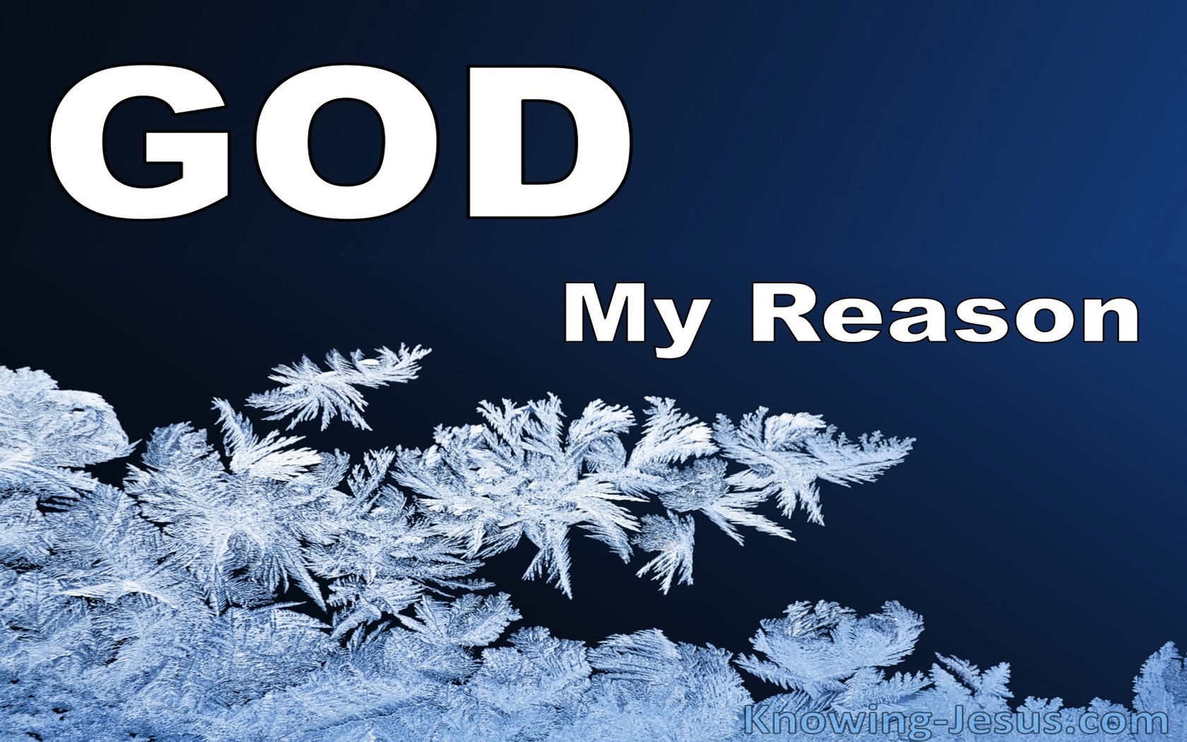 God, My Reason (devotional)02-27